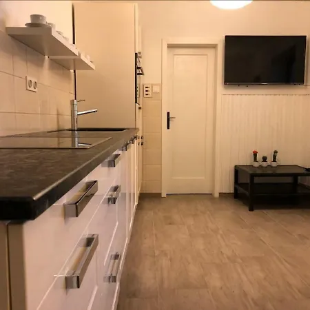 Апартаменты Vik's Place