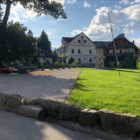 Vik's Place Апартаменты Радовлица